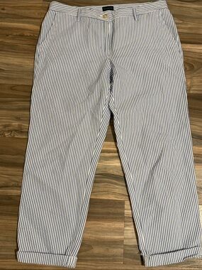 Talbots Sunshine Seersucker Relaxed Chino Striped Blue White Pants Women’s Sz.10